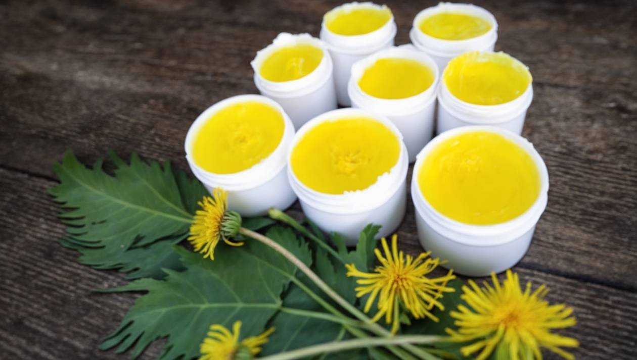 Selbstgemachte Löwenzahnsalbe, daneben Löwenzahnblätter und -blüten
